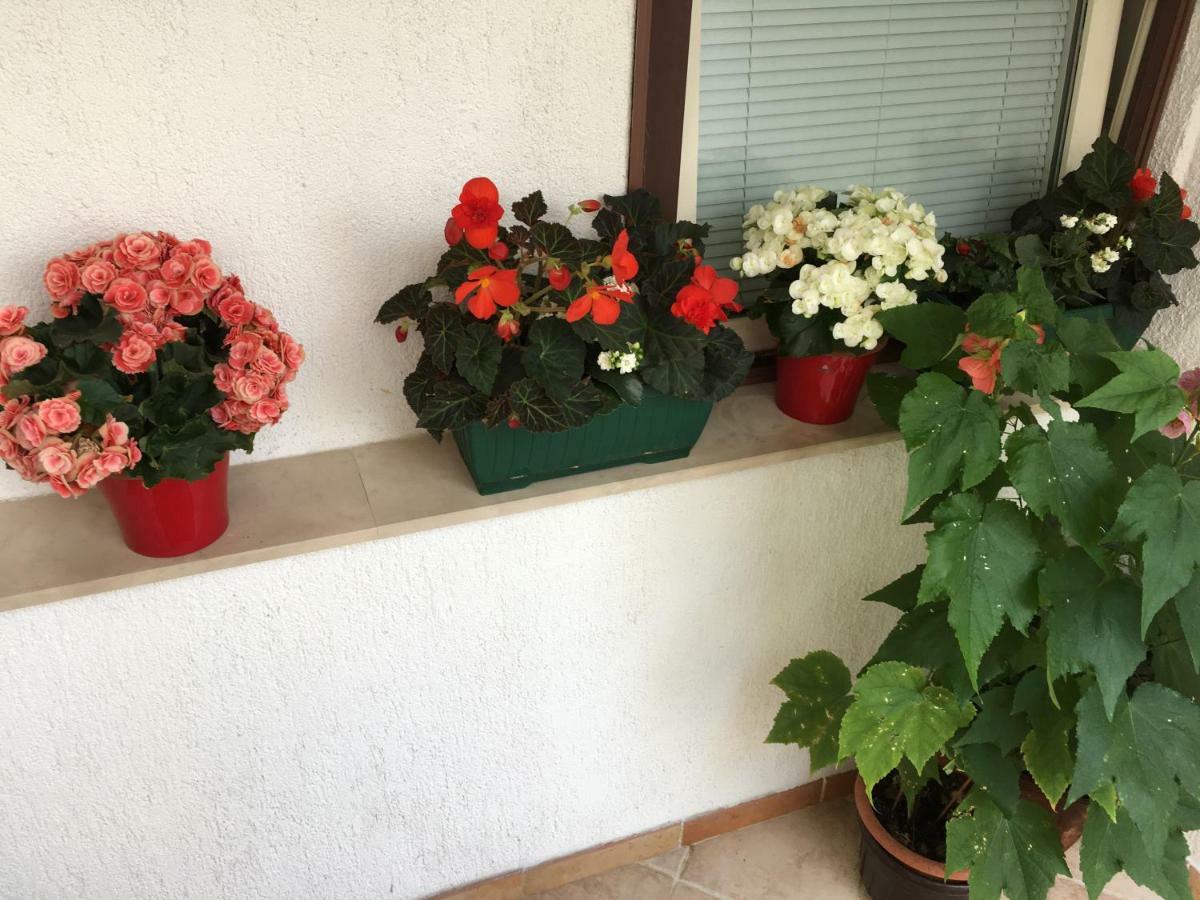 Apartment Lucija Novi Vinodolski Εξωτερικό φωτογραφία