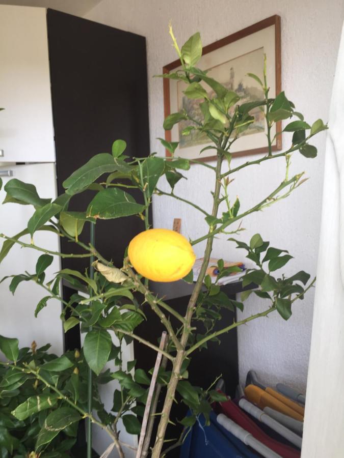 Apartment Lucija Novi Vinodolski Εξωτερικό φωτογραφία